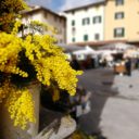 Dzień Kobiet w mieście