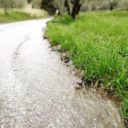 Wyjątkowy luty i marzec