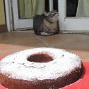 Ciasto ricottowo – migdałowe z czekoladowymi łezkami