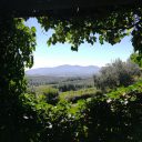 Mniej zachorowań, mniej osób w szpitalu, mniej zgonów. Czy można mówić o końcu pandemii?