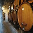 Wizyta w Cantine Contucci w Montepulciano