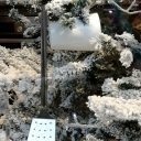 Choinka jak dla mnie