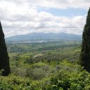 Zabujało o godzinie 4.37