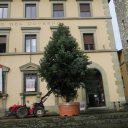 Choinki na Piazza Duomo