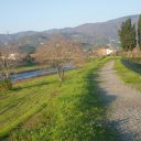 Jesienny spacer nad Ombrone