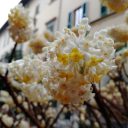 Lidio, jesteś w naszych sercach