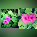 Wyzwanie: Kto lepiej fotografuje, rodzice czy dzieci?