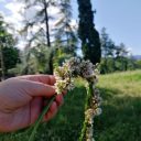 Kwiatowe wspomnienia z Polski