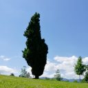 Jechać czy nie do Toskanii?