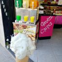 Lody Leonarda da Vinci w Vinci