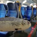 Toskanka rybka Kasia zaprasza na Instagram