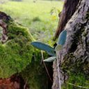 Takie sobie przemyślenia