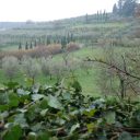 Trekking na początku stycznia