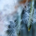 Morsy z Hamar dla Polaków we Włoszech