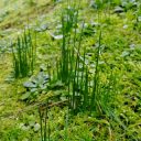 Miło w Parco Villone