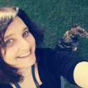 Zbieramy liście laurowe