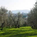 Toskania w białej strefie