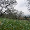 Na trekking dobry nawet szary dzień