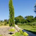 Trekking czerwcowy w słońcu