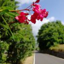 Niedzielny trekking, upały w toku…