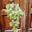 W toskańskich tropikach