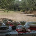 Video dla TV polskiej