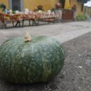 Ziemniaki na kamiennej ławie. Ciąg dalszy warsztatów kulinarnych