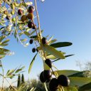 Październikowe trekkingowanie