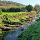 Chwilowy powrót lata