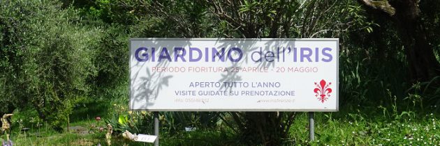Ogród irysów we Florencji
