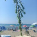 Cala Civette – dzika plaża w Maremmie
