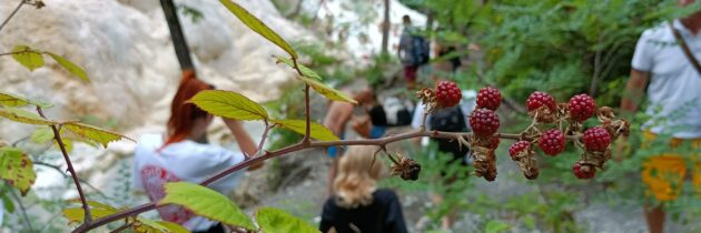 Bagni di San Filippo wakacyjne oblężone