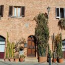 Gambassi Terme: Miasto pełne kaktusów w doniczkach