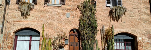 Gambassi Terme: Miasto pełne kaktusów w doniczkach