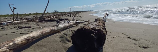 Toskańska plaża po letnim sezonie