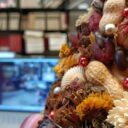 Nagranie z Profesorem Miodkiem z Muzeum Domus Mazziniana w Pizie