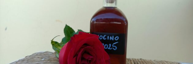 Degustacja czerwcowej orzechówki