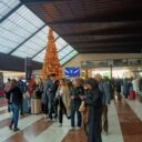 Choinka na florenckiej stacji bez życzeń od przejezdnych