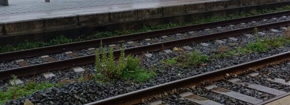 I już połowa stycznia