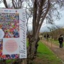 Kolejny Park Tulipanów w Toskanii. Tym razem nad morzem.