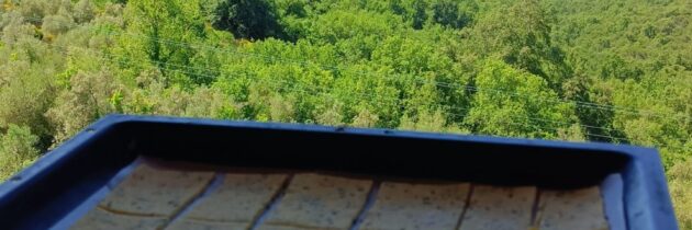 Warsztaty kulinarne w języku polskim w Toskanii i Siena na wyciągnięcie ręki