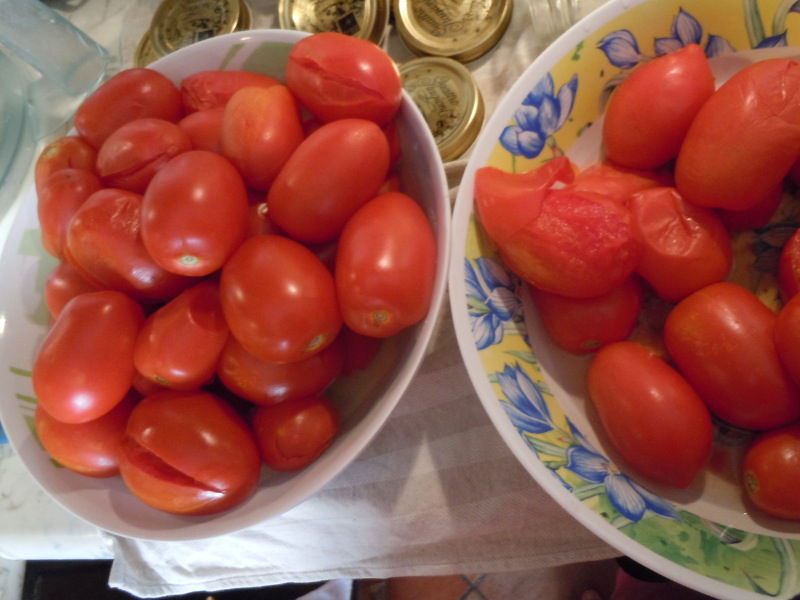 ugotowane_pomidory_san_marzano_moja_toskania