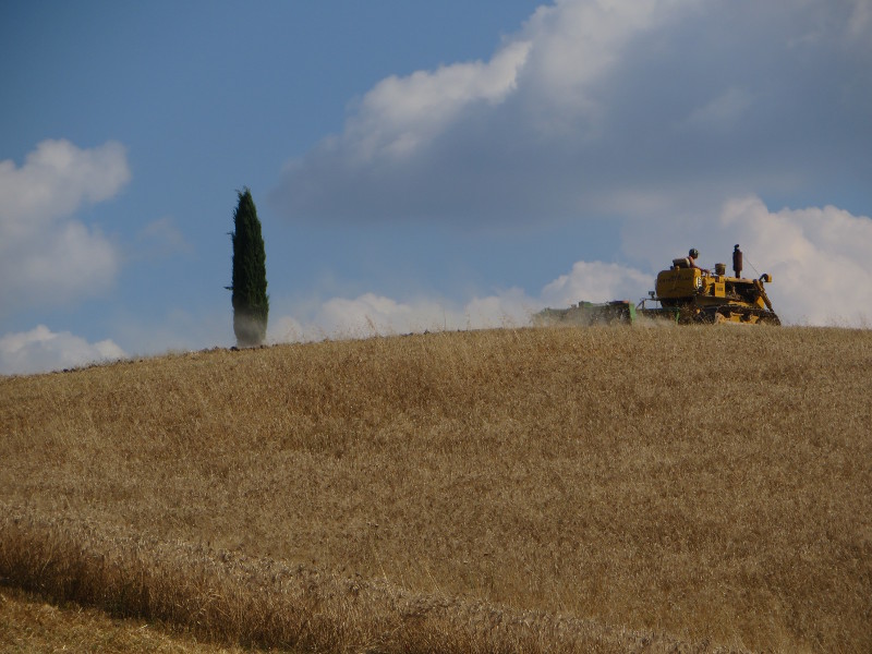 traktor_i_cyprys_moja_toskania